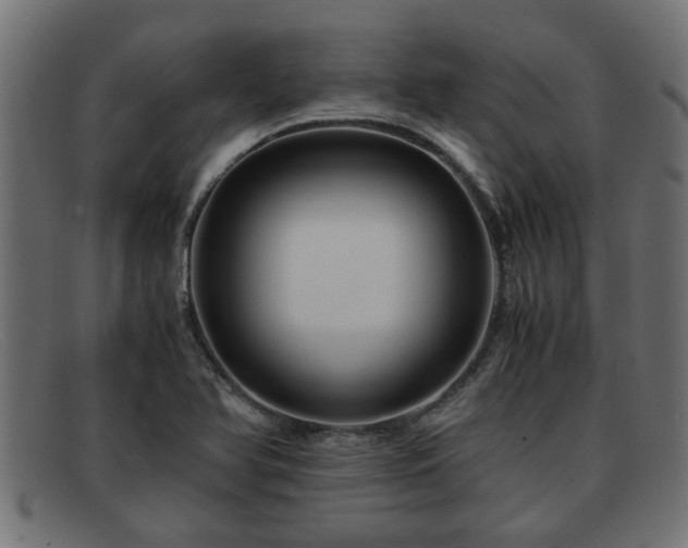 X0000091981366200709131404