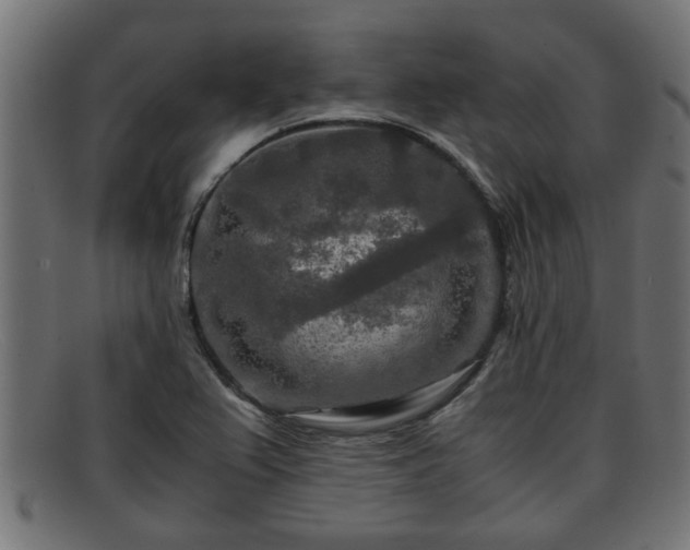 X0000091981367200709131404