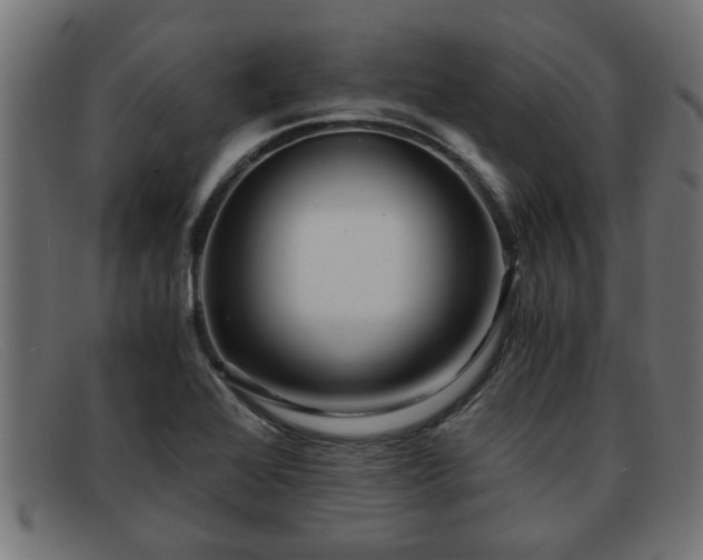 X0000091981368200709131404