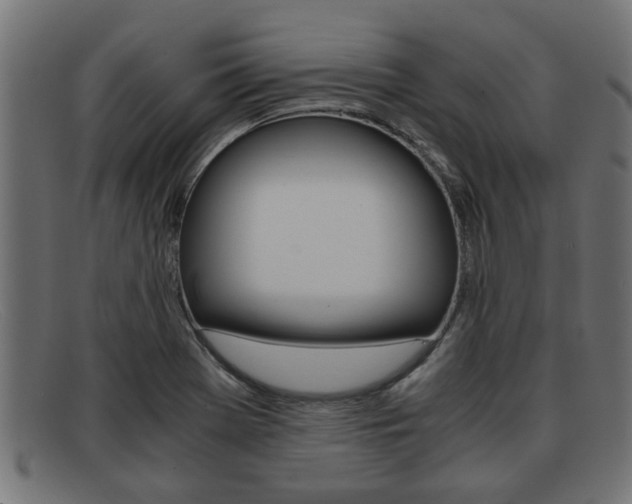 X0000091981369200709131404