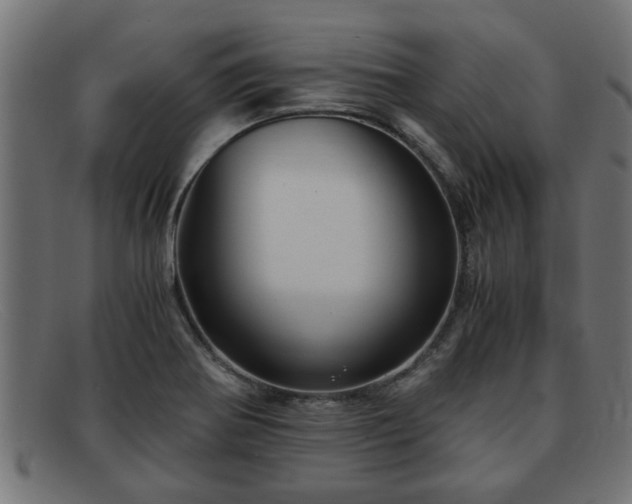 X0000091981370200709131404