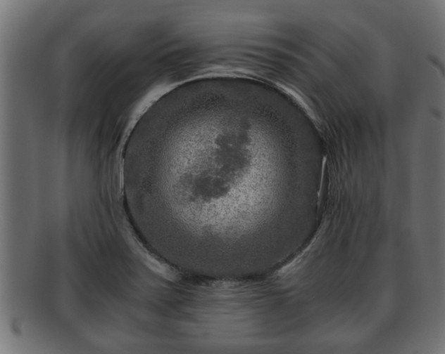 X0000091981371200709131404