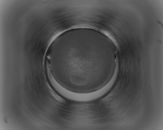 X0000091981372200709131404