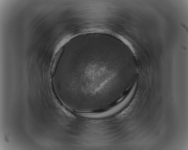 X0000091981373200709131404