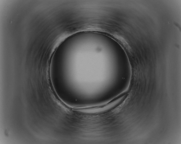 X0000091981374200709131404