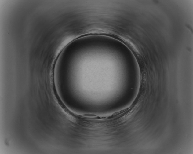 X0000091981375200709131404