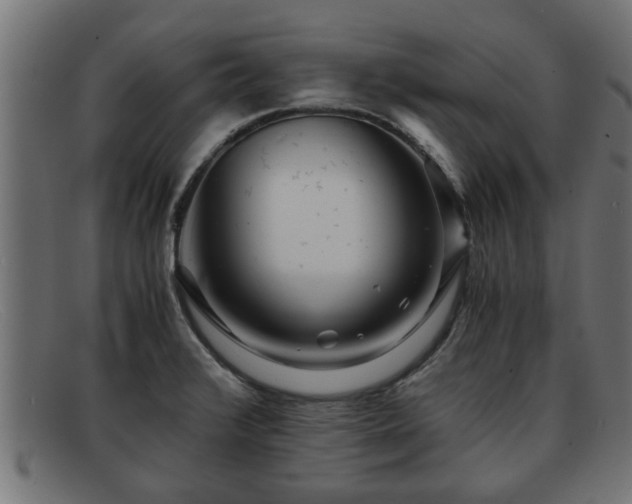 X0000091981376200709131404