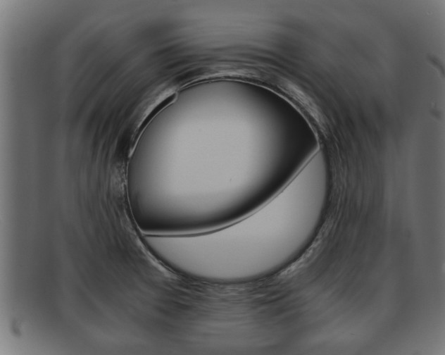 X0000091981377200709131404