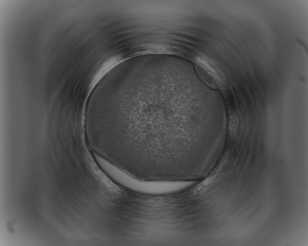 X0000091981378200709131404