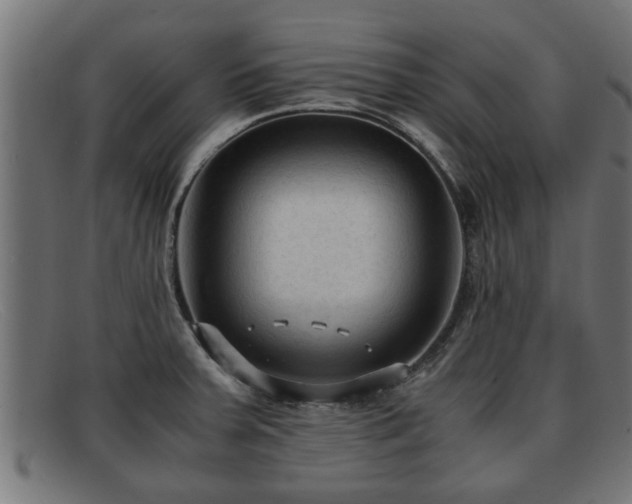 X0000091981379200709131404