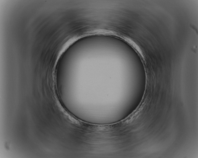 X0000091981381200709131404