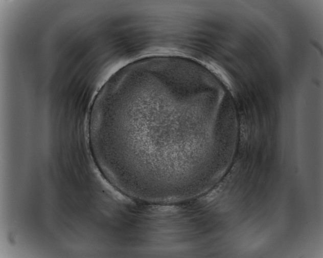 X0000091981382200709131404