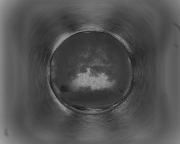 X0000091981383200709131404