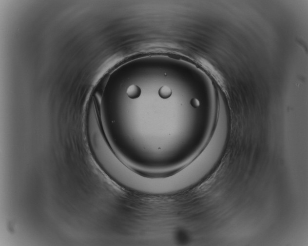 X0000091981384200709131404