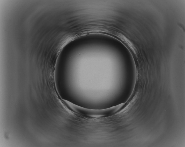 X0000091981385200709131404