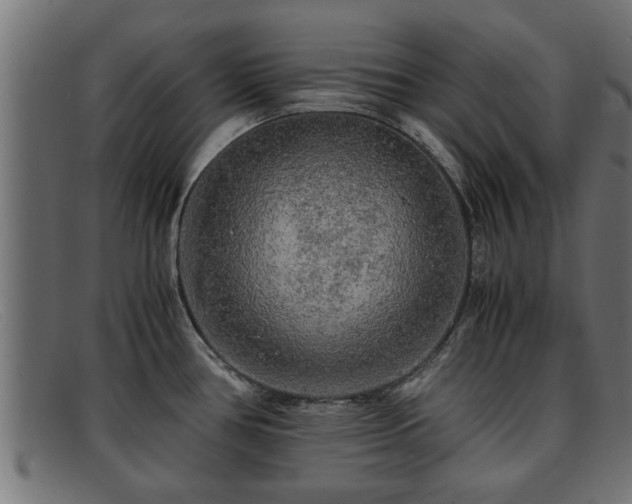 X0000091981386200709131404