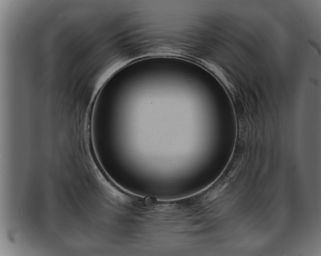 X0000091981387200709131404