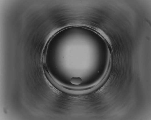 X0000091981388200709131404