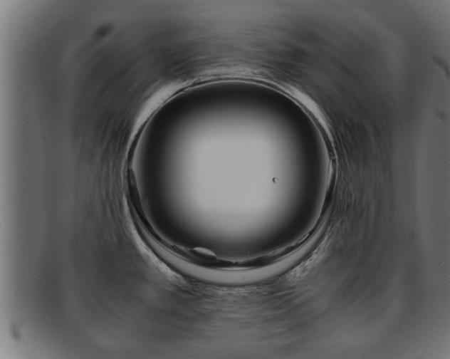 X0000091981389200709131404