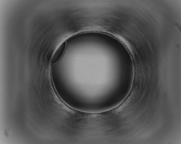 X0000091981390200709131404