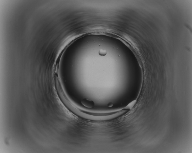 X0000091981392200709131404