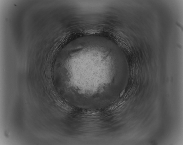 X0000091981393200709131403