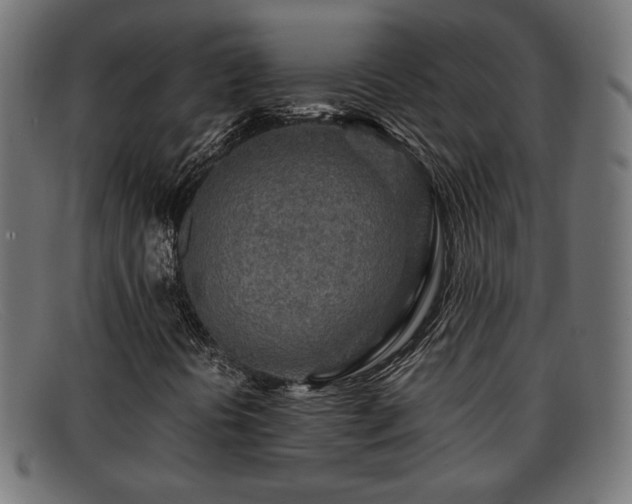 X0000091981394200709131403