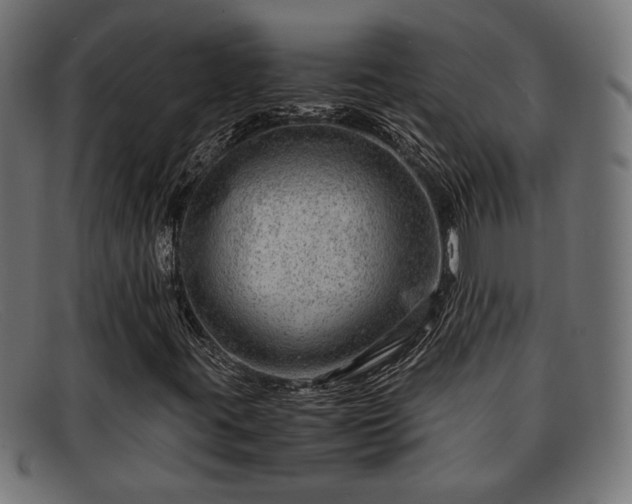 X0000091981395200709131403