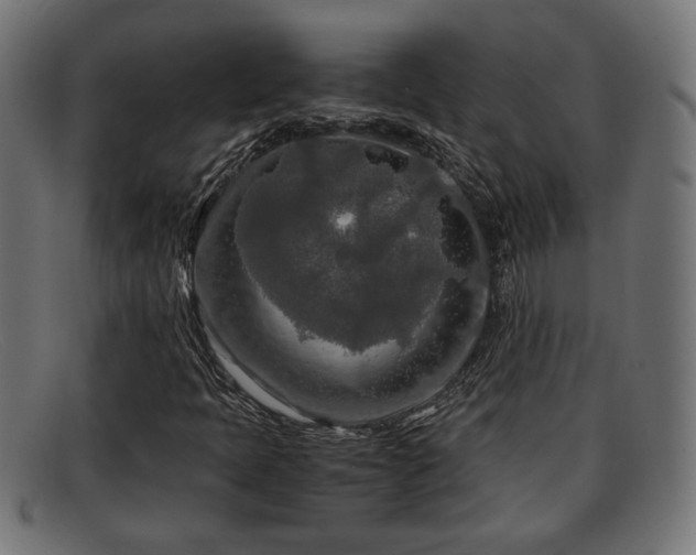 X0000091981397200709131403