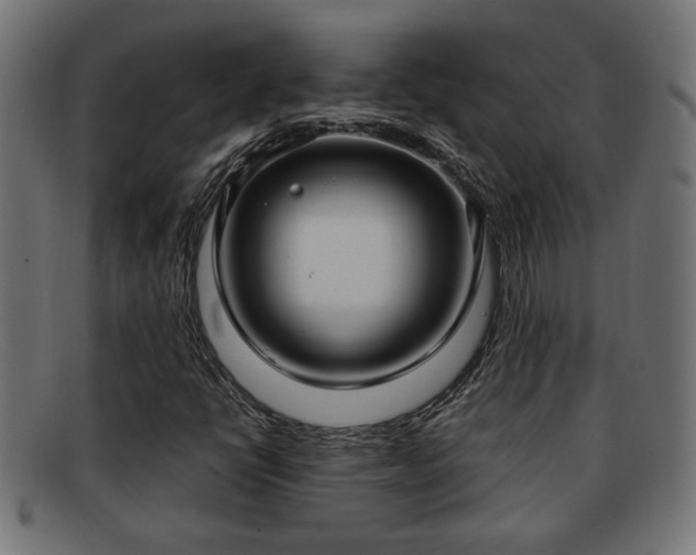 X0000091981398200709131403