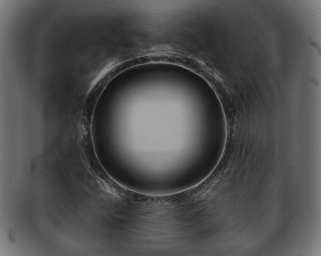 X0000091981400200709131403