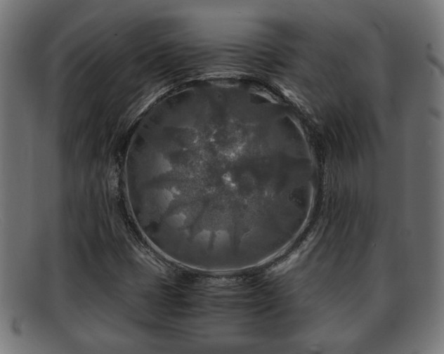 X0000091981401200709131403