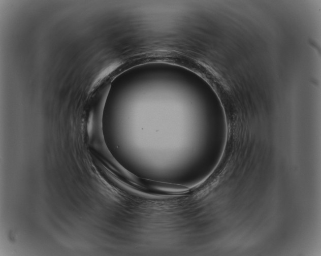 X0000091981402200709131403