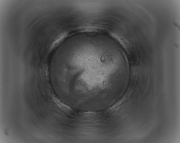 X0000091981403200709131403