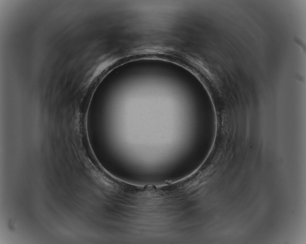 X0000091981404200709131403