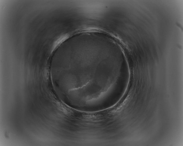 X0000091981405200709131403