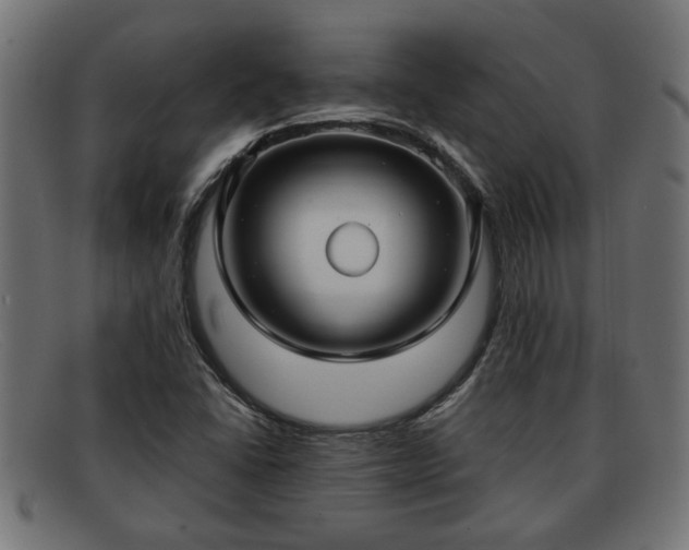 X0000091981406200709131403