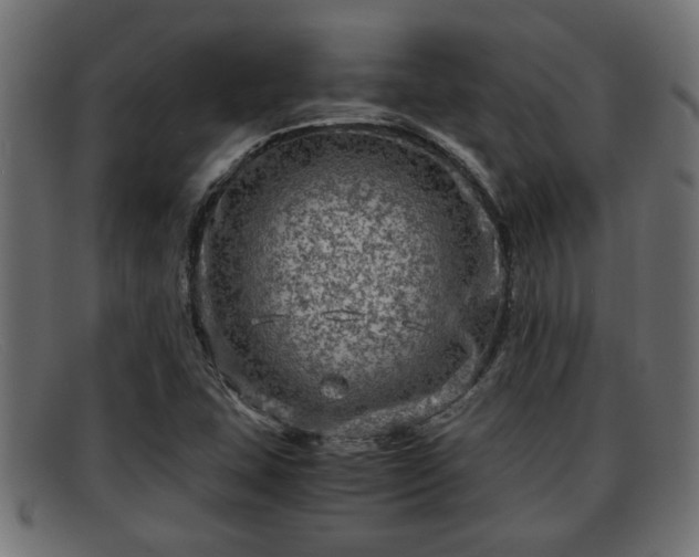 X0000091981407200709131403