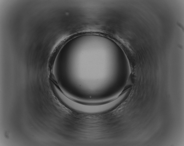 X0000091981408200709131403