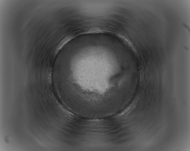 X0000091981409200709131403