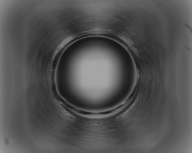 X0000091981410200709131403