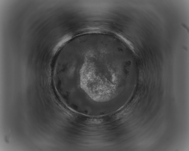 X0000091981411200709131403