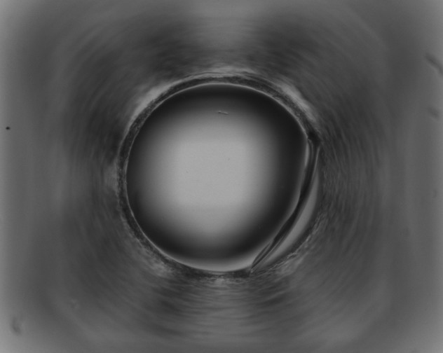 X0000091981412200709131403