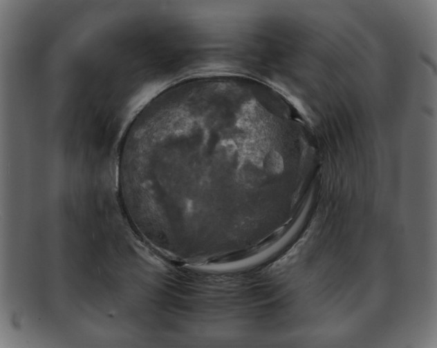 X0000091981413200709131403