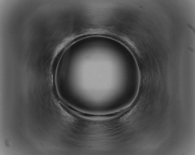 X0000091981414200709131403