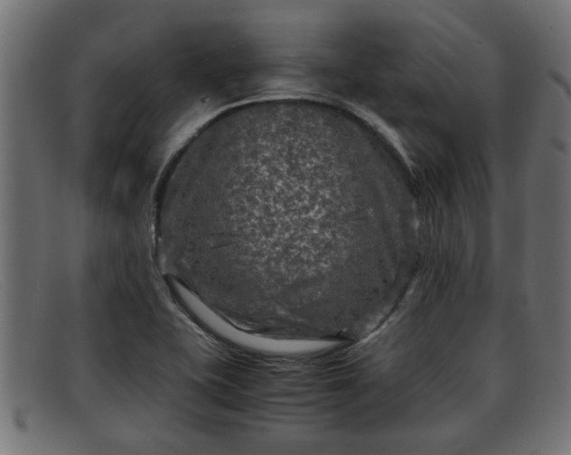 X0000091981415200709131403