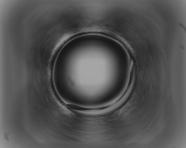 X0000091981416200709131403