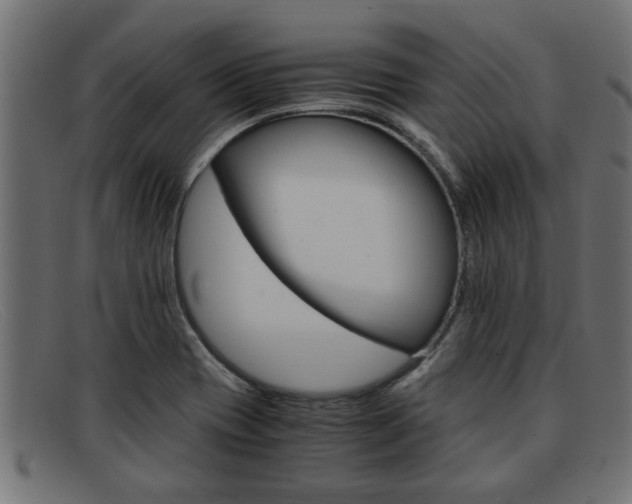 X0000091981417200709131403