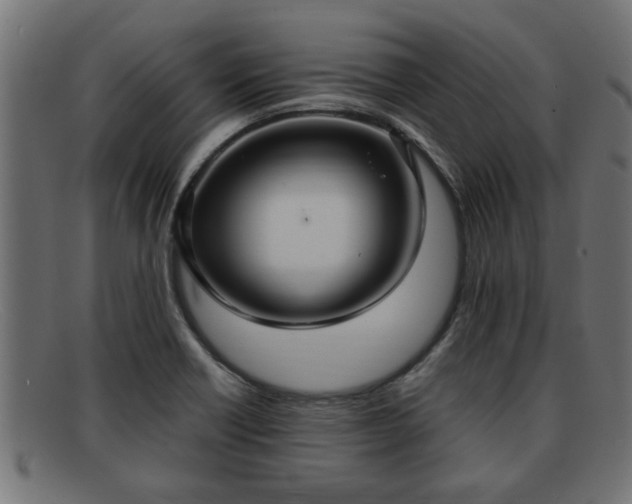 X0000091981418200709131403