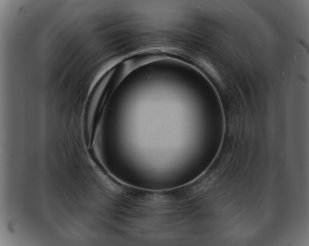 X0000091981420200709131403